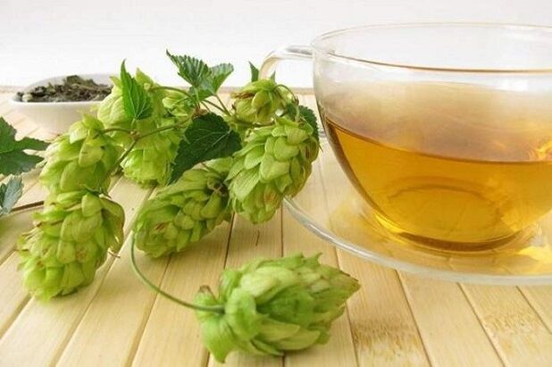 bularra handitzeko lupulu konoen decoction